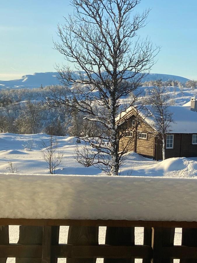 Storemyr By Norgesbooking - Cabin With Amazing View Myro 外观 照片